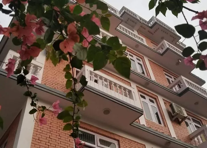 Cloud 9 Garden