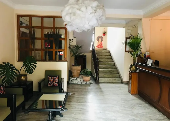Cloud 9 Garden