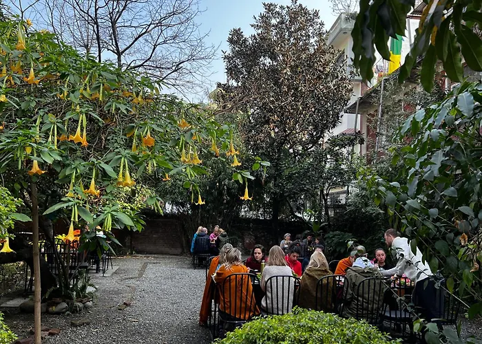 Cloud 9 Garden